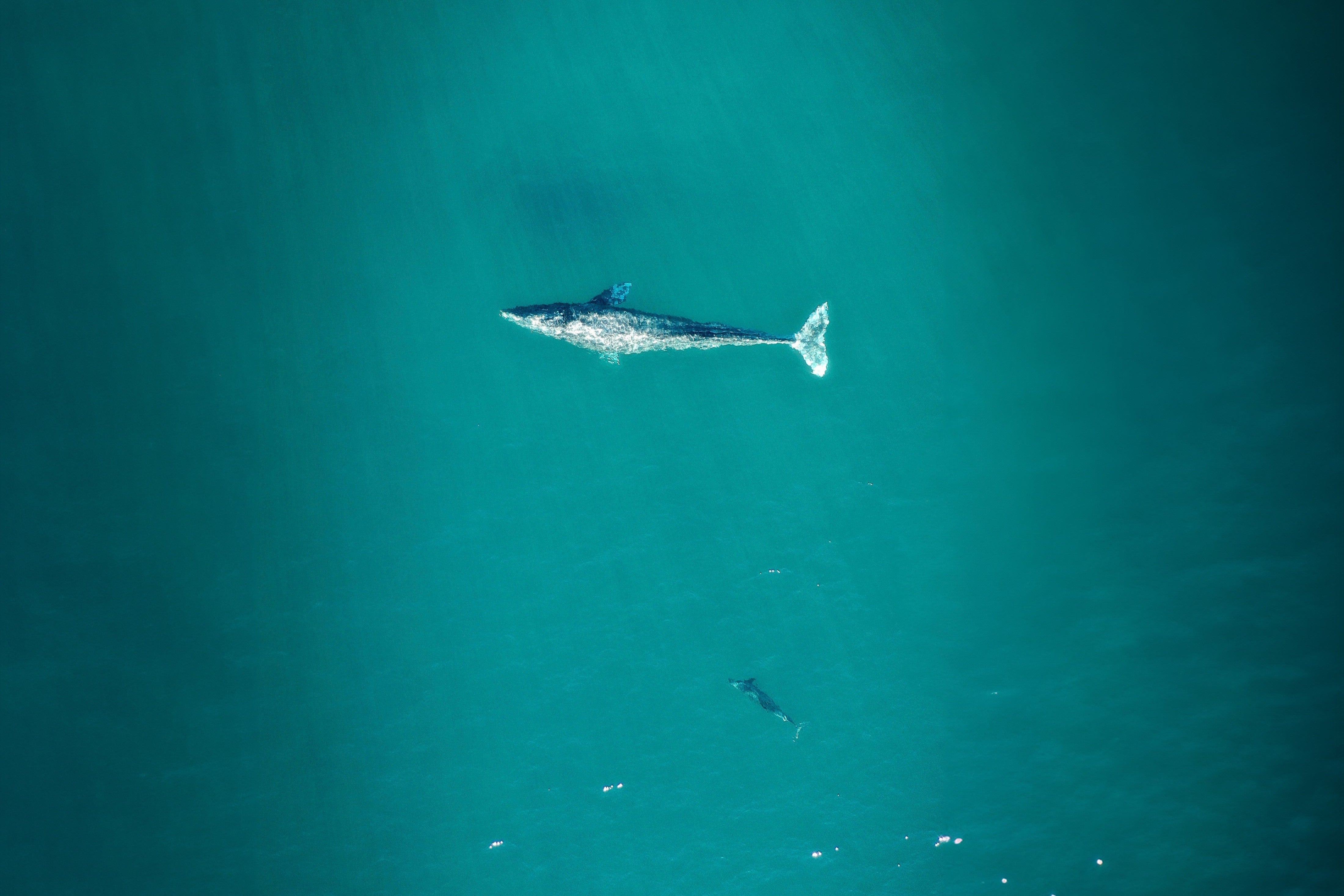 CLAE x SEAQUAL INITIATIVE