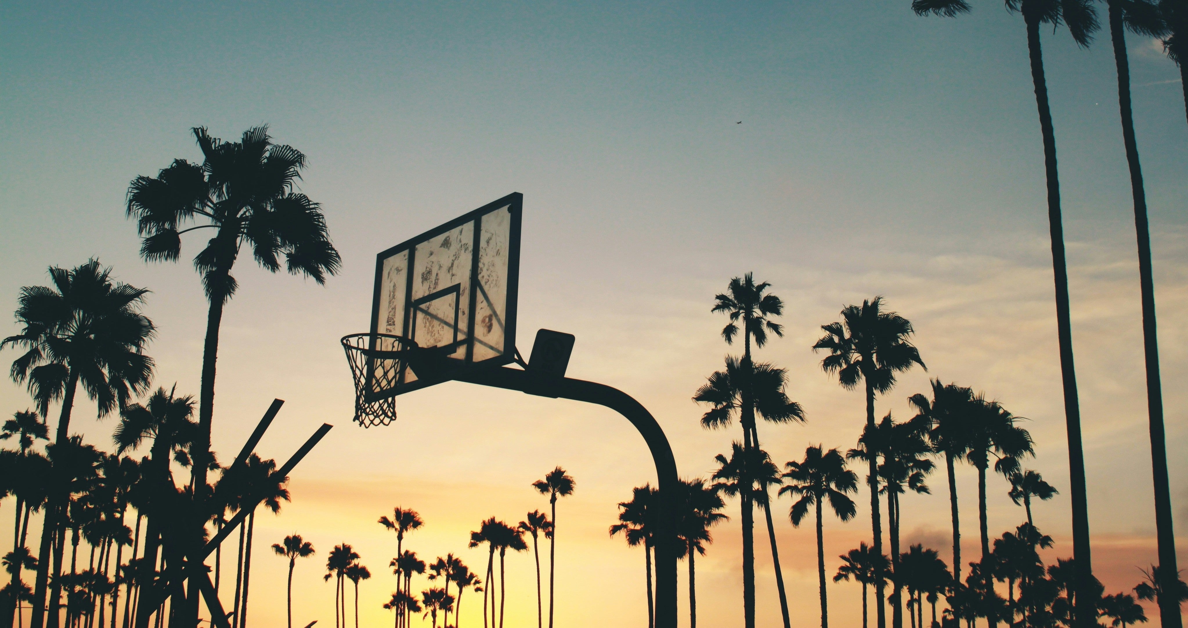 Sale - CLAE Footwear